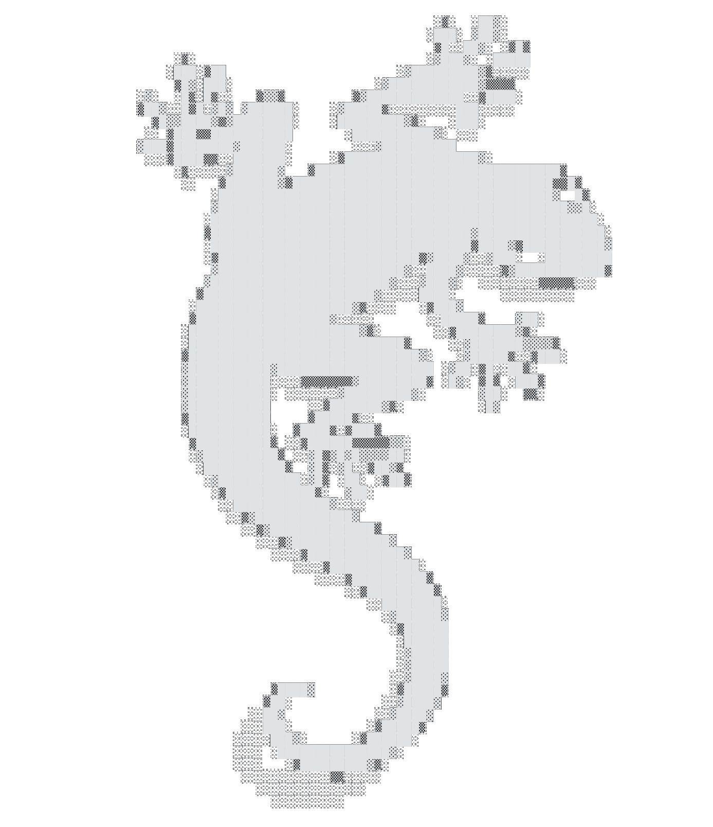 Lizard decoration